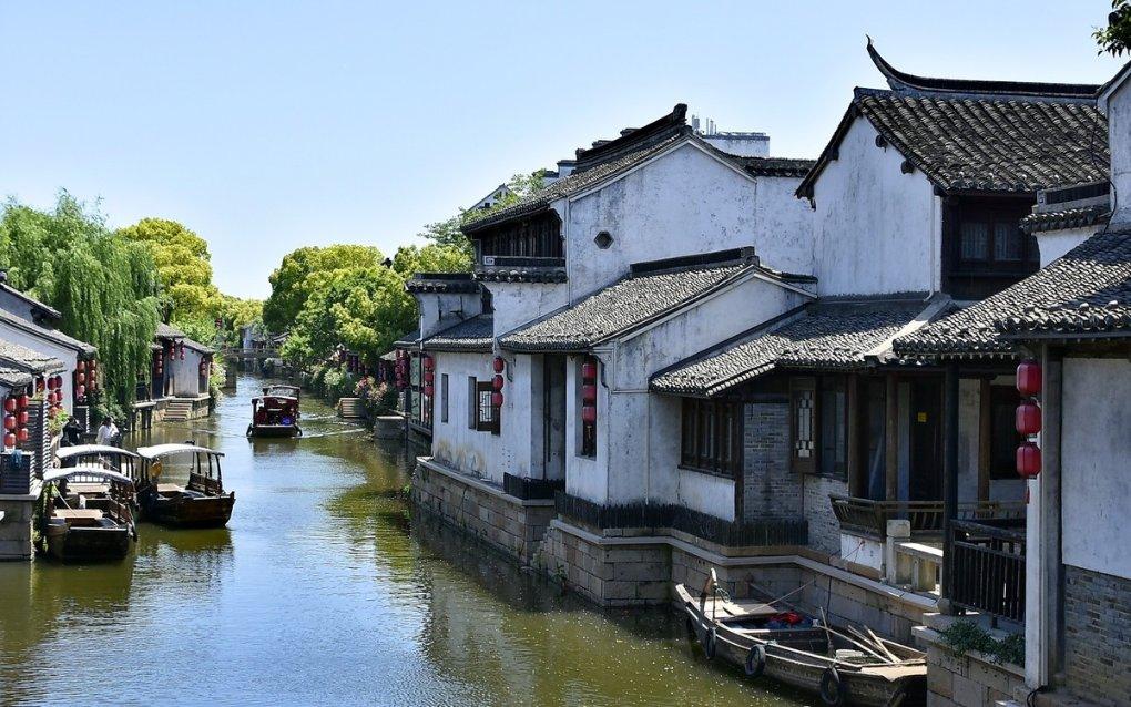 小僵尸射飞鸟